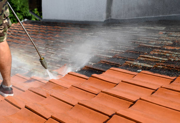 Best Pressure Washing Services Near Me  in Drexel Heights, AZ